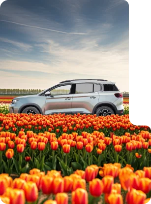 Ведение социальных сетей Citroën: лента бренда
