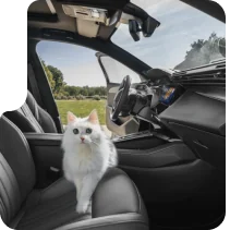 Публикация Peugeot, раскрывающая эстетику бренда